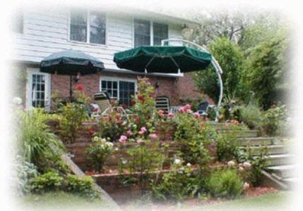 مبيت وإفطار شلالات نياغارا Dorchester House المظهر الخارجي الصورة