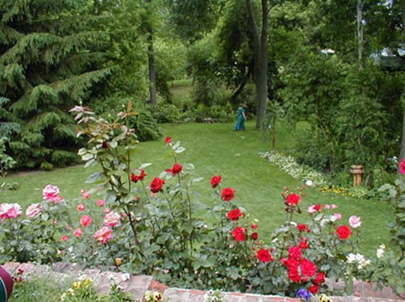 مبيت وإفطار شلالات نياغارا Dorchester House المظهر الخارجي الصورة