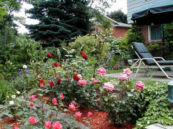 مبيت وإفطار شلالات نياغارا Dorchester House المظهر الخارجي الصورة